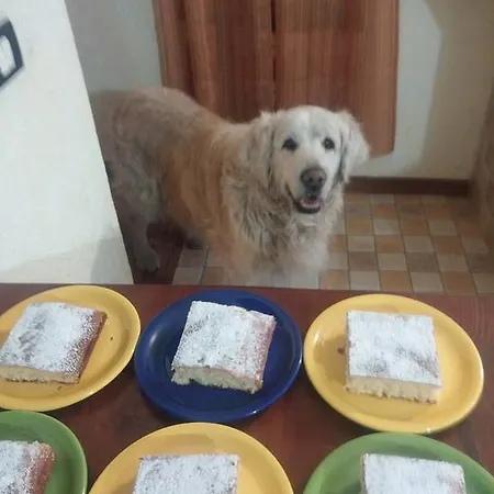 לינה וארוחת בוקר Da Marta