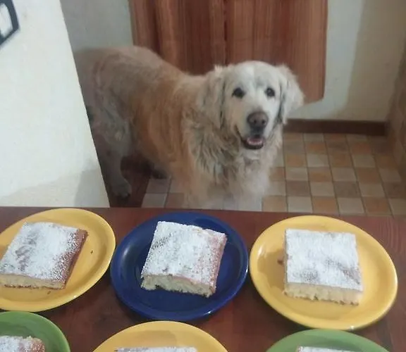 Bed & Breakfast Da Marta